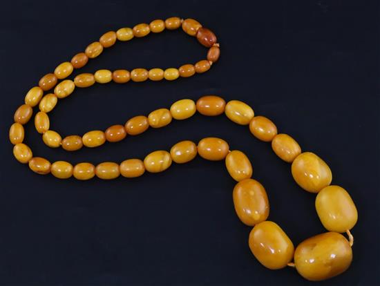 A single strand graduated amber bead necklace, 70cm.